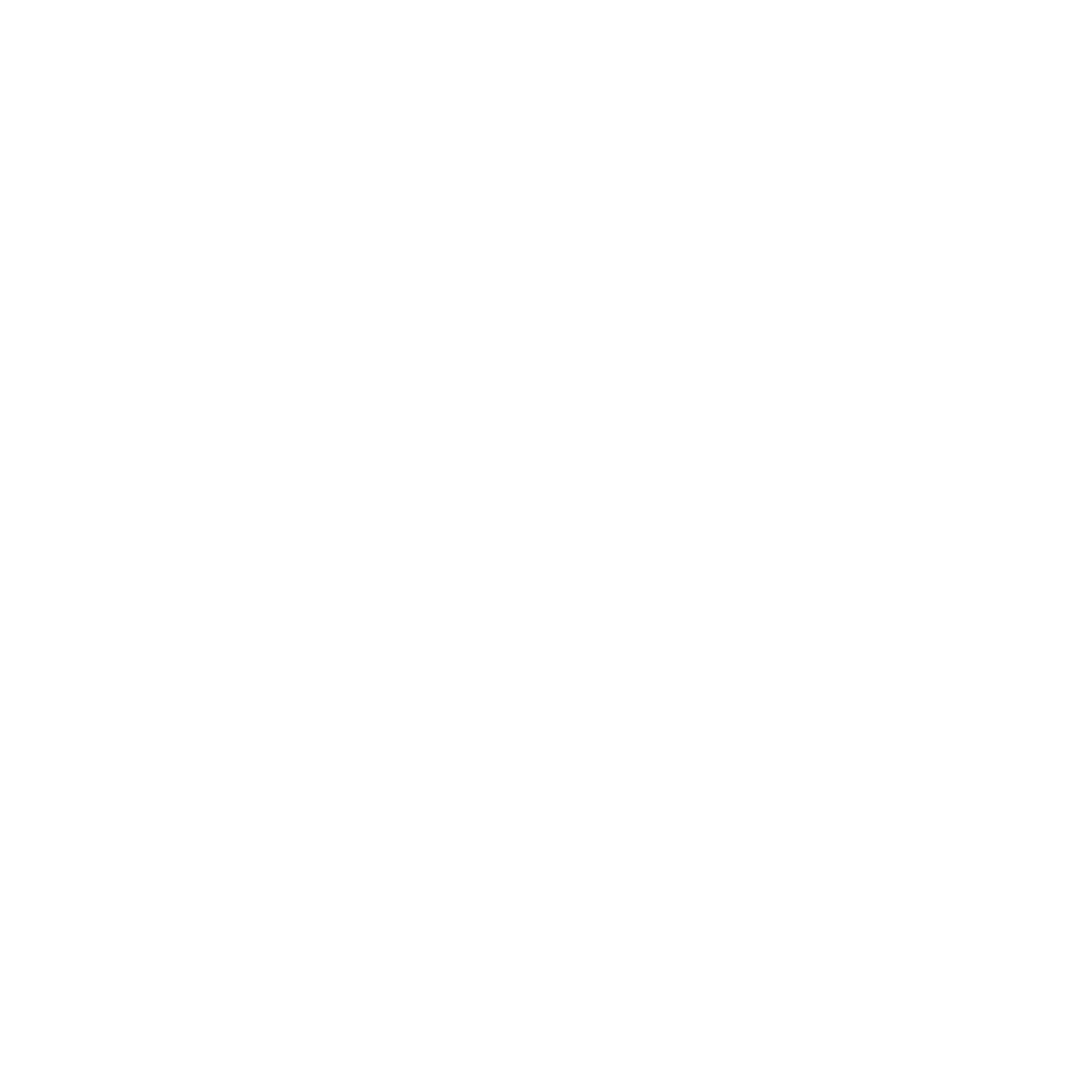 CENTER FOR ACCELERATING FINANCIAL EQUITY - CAFE